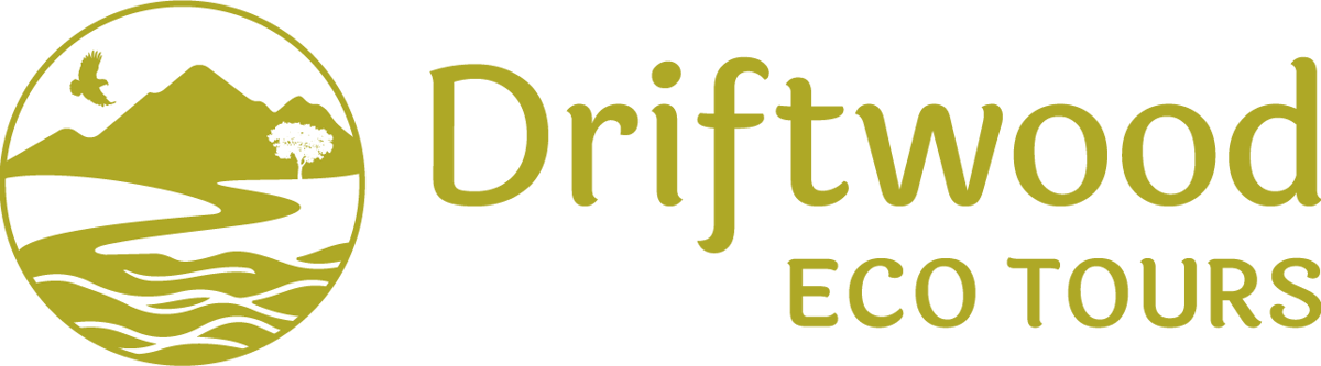 Main logo