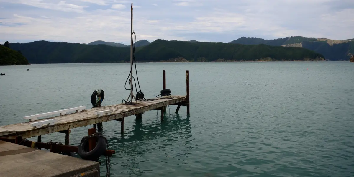 Port Underwood.04