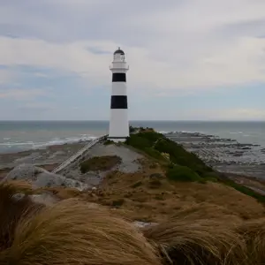 Cape Campbell.01