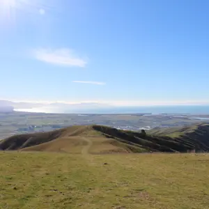 Wither Hills (1)