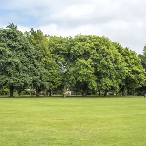 Churchill Glade Pollard Park