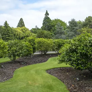 Pollard Park Blenheim RBPHOTO (18)