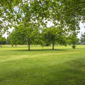 Pollard Park Blenheim RBPHOTO (3)