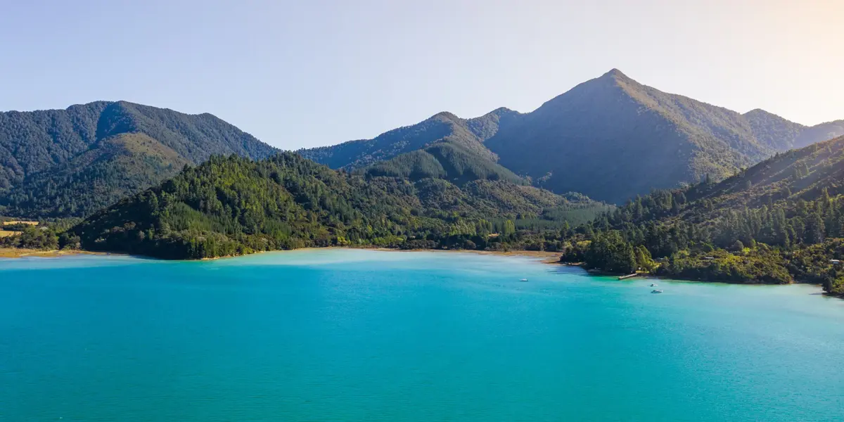 Walk Pelorus Nydia Track 37