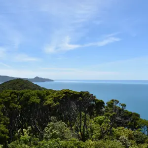 QCS Motuaraisland 81