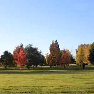 Pollard Park (42)