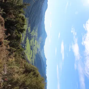 Pelorus River Walk (4)