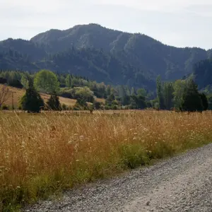 Lamberts Rd.01