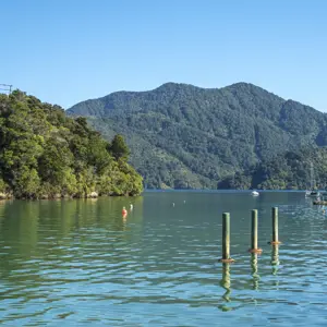 SM MDC 2 RBPHOTO (2)