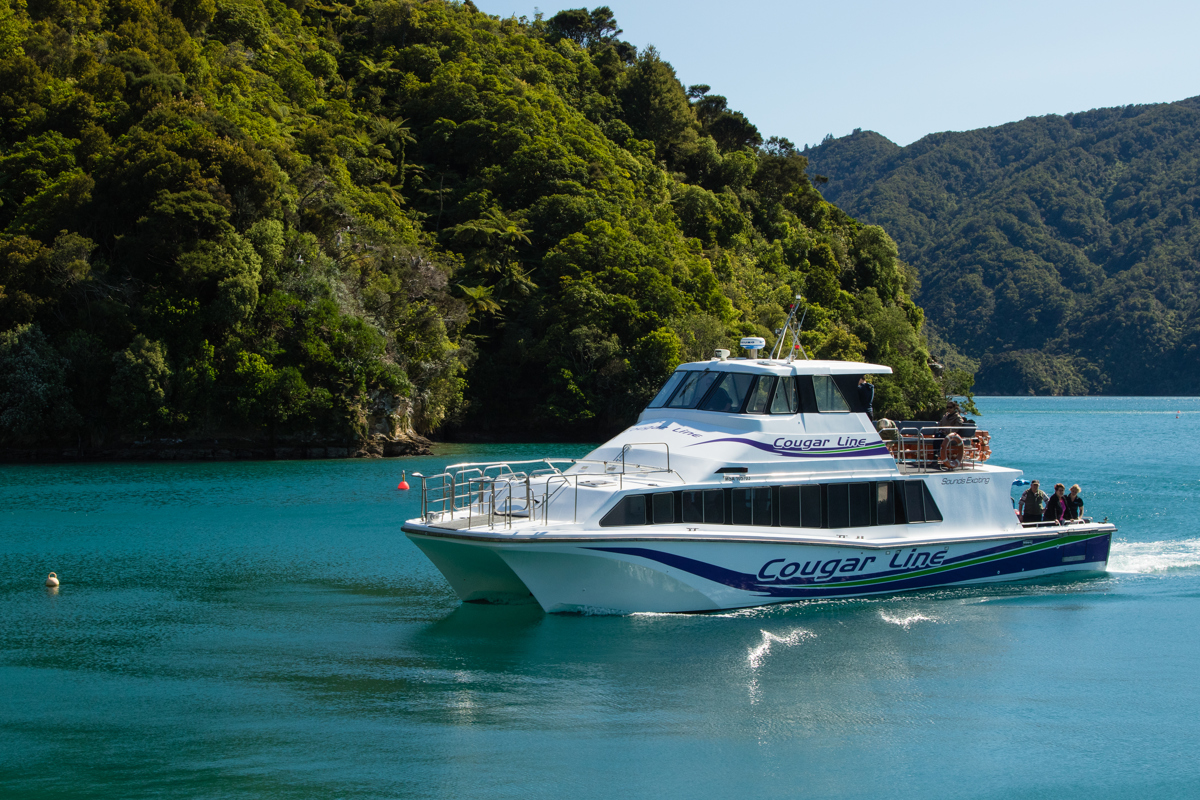 Cougar Line Front On Cruiing Shot T