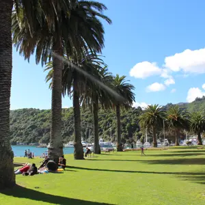 Picton Foreshore (4)