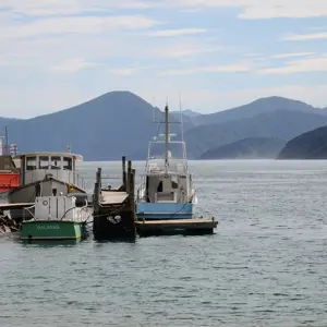 Picton Wharf.05