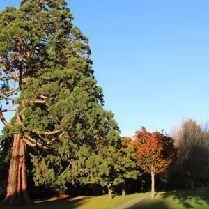 Pollard Park (27)