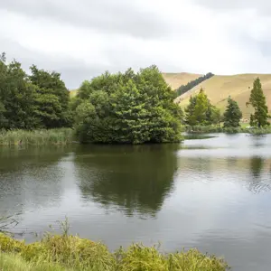 Taylor Pass Dam RBPHOTO (10)