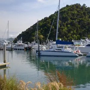 Picton.29