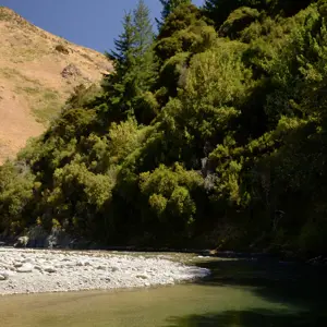 Upper Waihopai.07