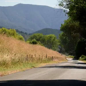 Bothams Bend Rd.06