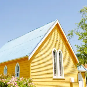 DSC 0600