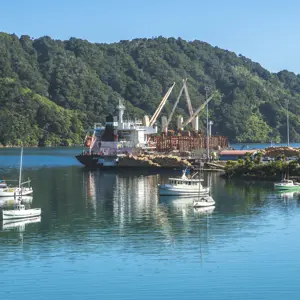 Picton Central RBPHOTO (5)