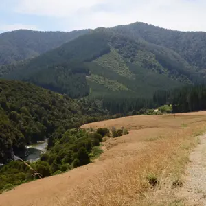 Maungatapu Rd.01