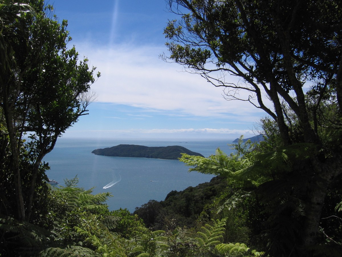 View_of_Motuara_Island_from_Queen_Charlotte_Track