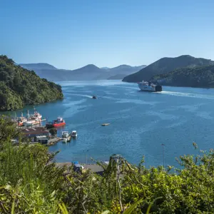 Picton Central RBPHOTO