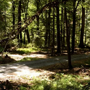 Rainbow Valley.11