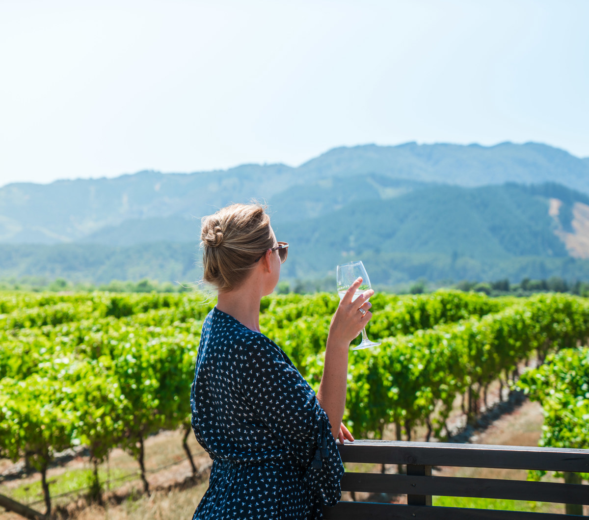 Vines Village 13