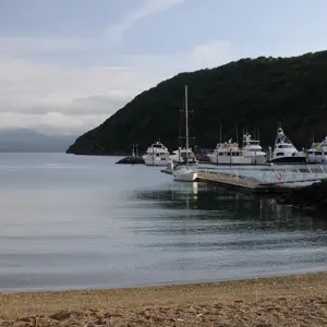 Picton.17