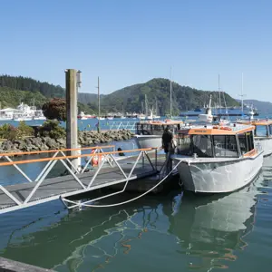 Picton Central RBPHOTO (8)