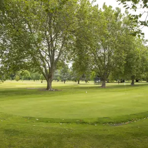 Pollard Park Blenheim RBPHOTO (2)