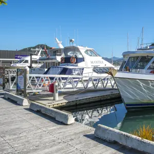 Picton Central RBPHOTO (17)