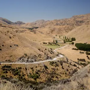 Molesworth.41