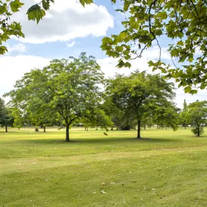 Pollard Park Blenheim RBPHOTO (1)