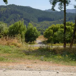 Bothams Bend Rd.05