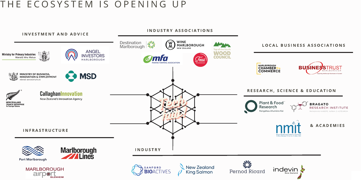 A diagram showing the various organisations involved in Marlborough's innovation ecosystem