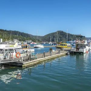 Picton Central RBPHOTO (10)