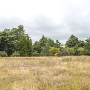 Wairau Hospital Land RBPHOTO (5)
