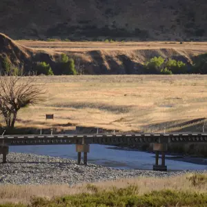 Molesworth.09