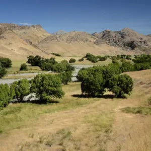 Molesworth.47