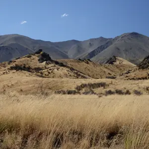 Molesworth.48