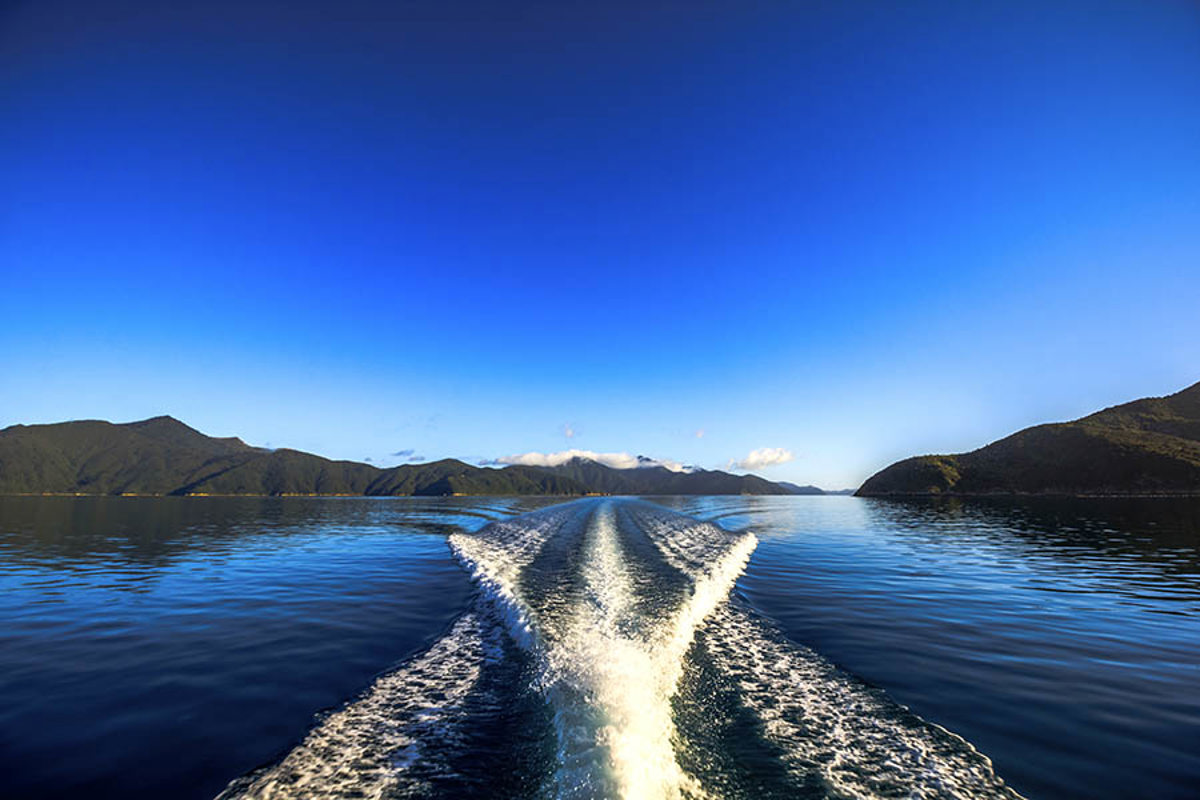 Pswt Scenic Marlborough Sounds