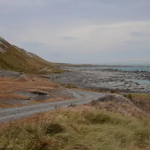 Cape Campbell.11