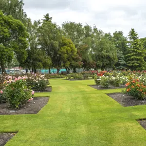 Pollard Park Blenheim RBPHOTO (33)