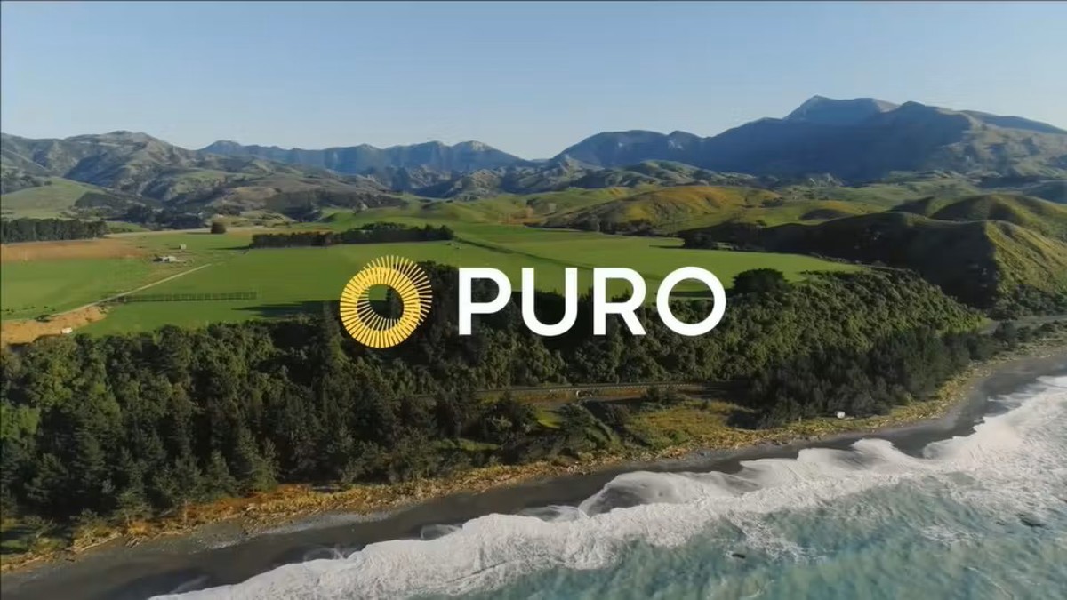 Puro