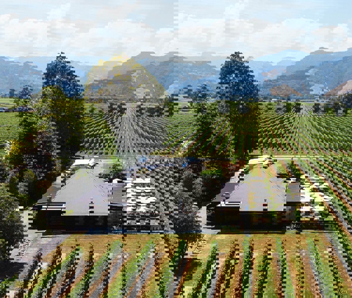137523970_2821960164791590_8608649581486845588_n