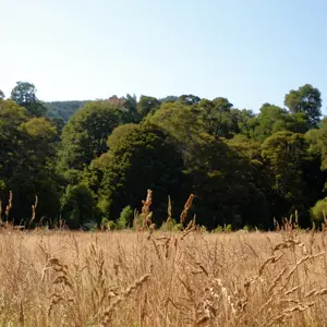 Onamalutu Reserve.06