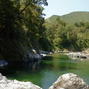 Pelorus River.02