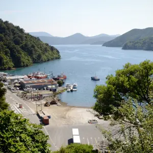 Picton.07