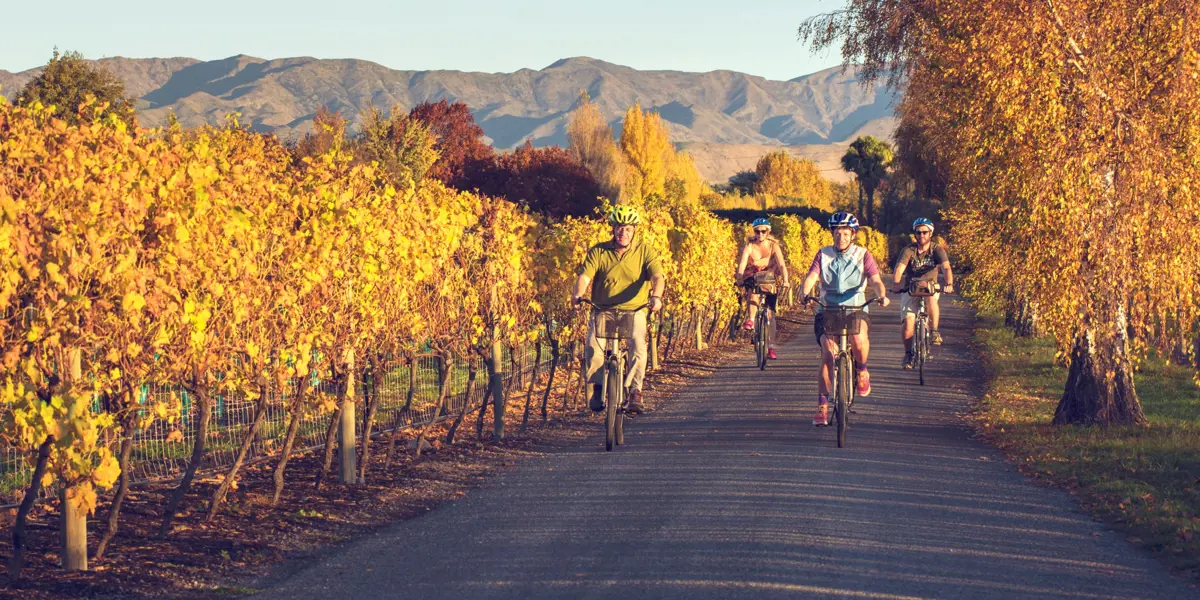 OP F C MDC Bike Winery Autumn Must Be Only Marlborough Horizontal Branded(45)